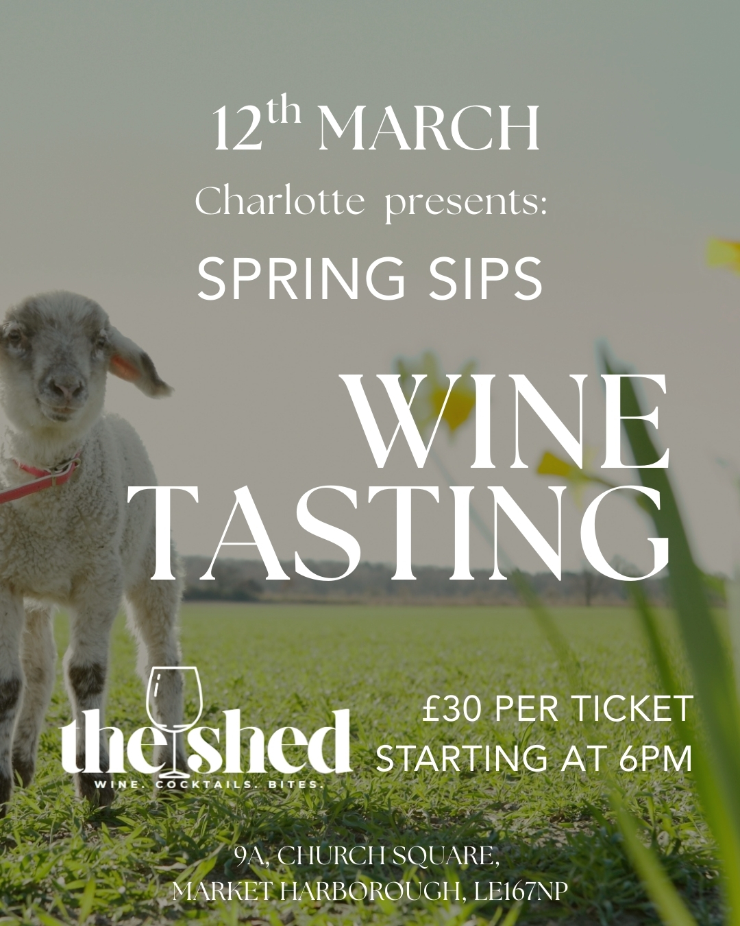 Wine Tasting - Spring Sips