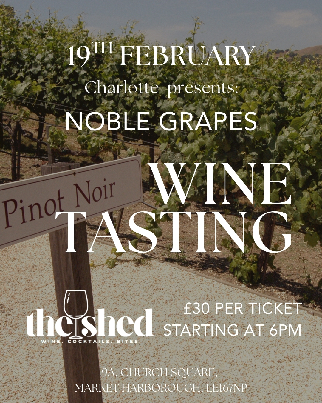 Wine Tasting - Noble Grapes