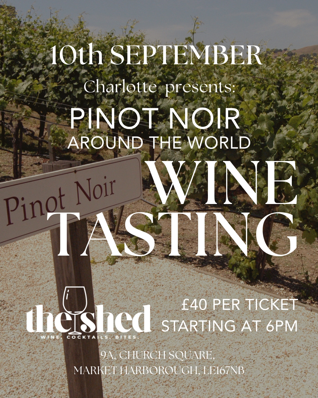 Wine Tasting - PINOT NOIR